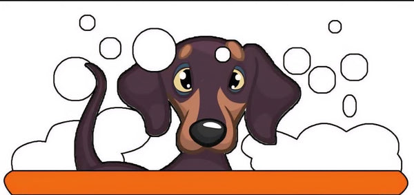 K9 Fragrance
